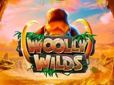 Play2Win Casino screenshot